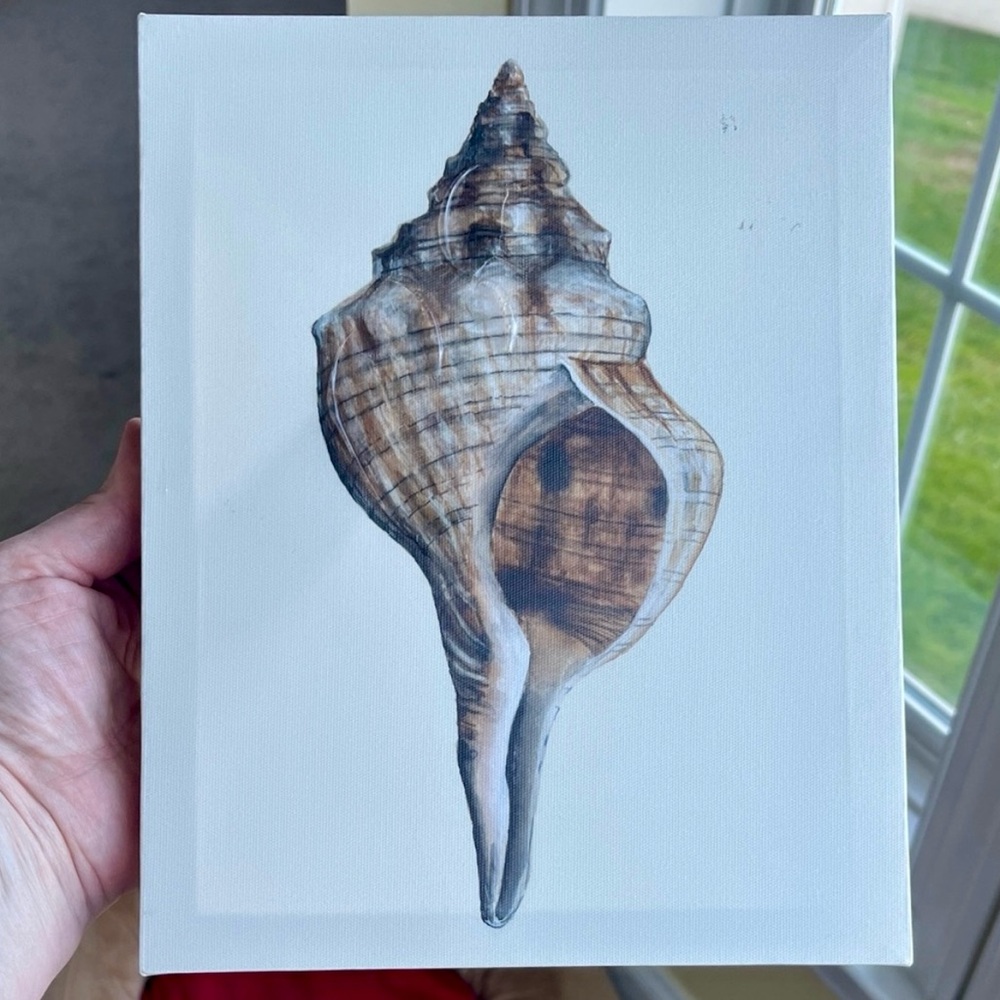 Canvas Textured Seashell Painting 8x10
